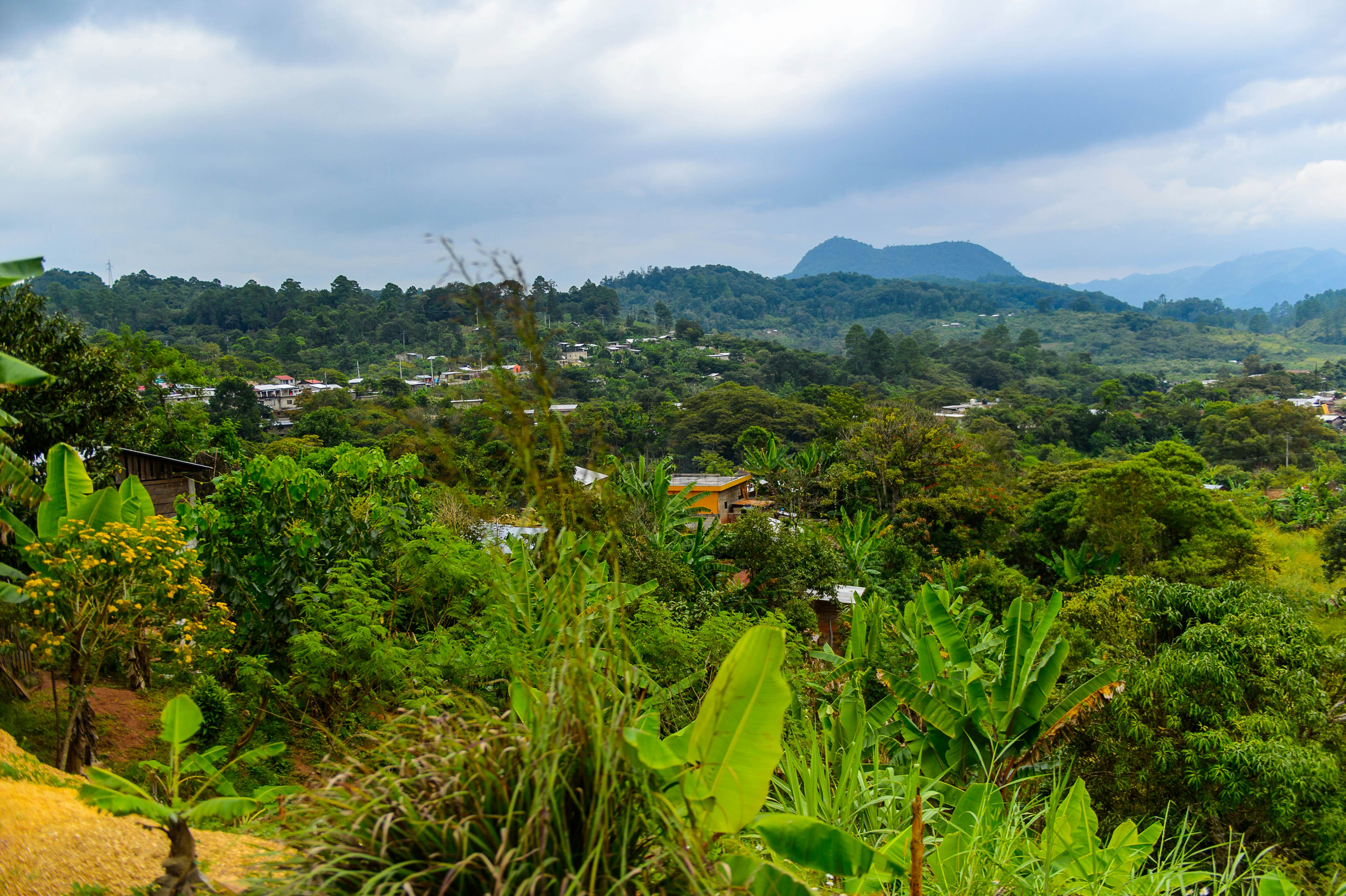 House in one of the maya villages in Chiapas state of Mexico. Tapachula